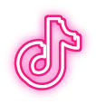 TikTok icon